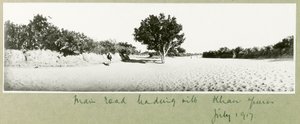 De hoofdweg naar Khan Yunis, juli 1917 door Capt. Arthur Rhodes